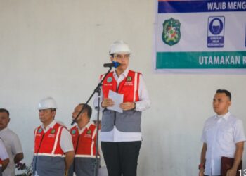 Pimpin Apel Bersama Dinas SDABMBK, Ini Pesan Rico Waas