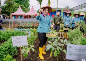 Airin Waas Tinjau dan Panen Sayuran di Taman Setia Sempakata