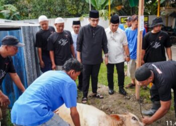 Saksikan Pemotongan Kurban, Rico Harapkan Berkurban Dapat Bersihkan Hati dari Sifat Buruk