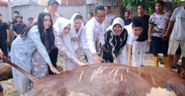 Wakil Wali Kota Medan Serahkan 4 Hewan Kurban