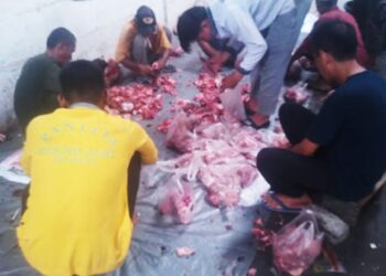 BKM Masjid Jamiq Belawan II Sembelih 12 Kurban