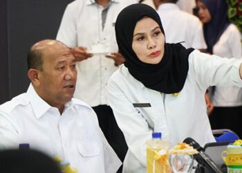 Bupati Langkat Tampilkan Inovasi TPAKD di Forum Nasional OJK