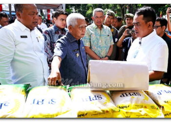 Dukung Gerakan Pangan Murah Serentak Nasional, Sumut Gelar Pasar Murah di 394 Titik Lokasi di 33 Kabupaten/Kota