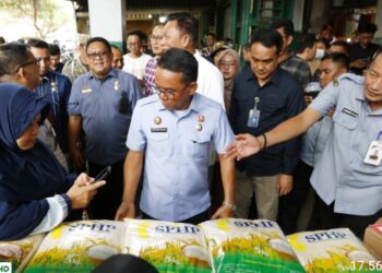 Pantau Harga Bahan Pangan di Medan, Zakiyuddin Harahap Tinjau Pasar Petisah dan Pusat Pasar