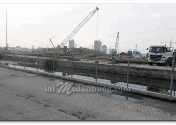 Dibongkar Tanpa Izin, 5000 Ton Lebih Kayu Gelondongan Berserak di Dermaga 201