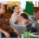 PKB Sumut Tembus Rp974 Miliar, Pemutihan Pajak Ringankan Beban Warga hingga Desember