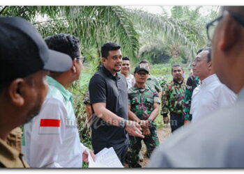 Gubernur Sumut Ubah Lahan Sawit Jadi Hunian Tetap Korban Bencana