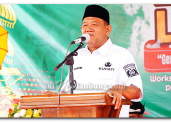 Bupati Syah Afandin Buka Jambore DSML 2026, Dorong Pemuda Langkat Jadi Pelopor Budaya