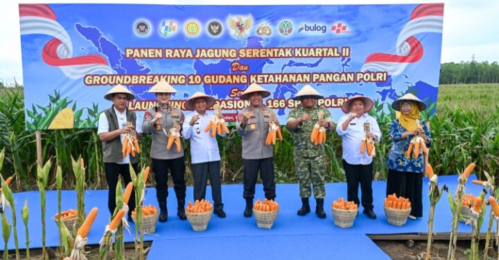 Wagub Surya Hadiri Panen Raya Jagung Serentak, Presiden Tekankan Pentingnya Swasembada Pangan
