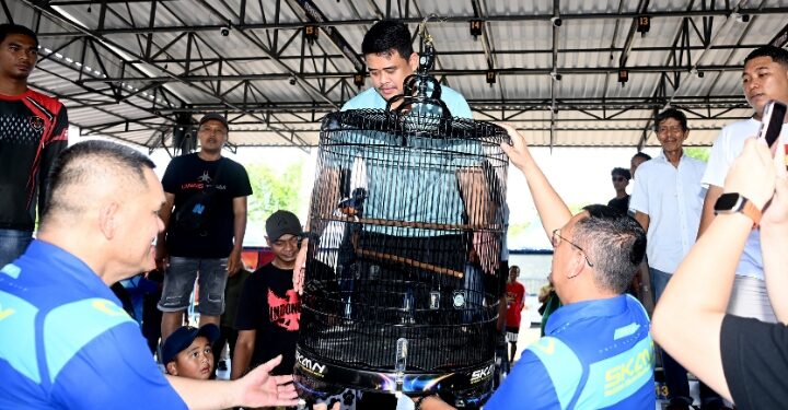Buka Kontes Burung Berkicau, Bobby Nasution Dorong Sumut Jadi Pusat Kicau Mania Nasional