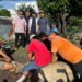 Idul Adha 1447 H, PWPM Sembelih Dua Sapi Kurban Bantuan Wali Kota Medan Rico Waas