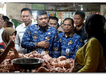 Pemprov Sumut Pastikan Stok dan Distribusi Minyakita Aman, Harga Mulai Stabil