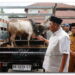 Bupati Syah Afandin dan Wabup Tiorita Berbagi Hewan Qurban untuk Warga Besilam
