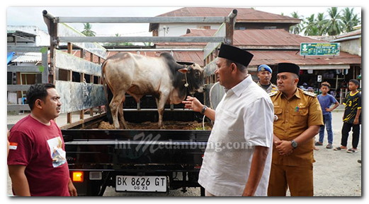 Bupati Syah Afandin dan Wabup Tiorita Berbagi Hewan Qurban untuk Warga Besilam