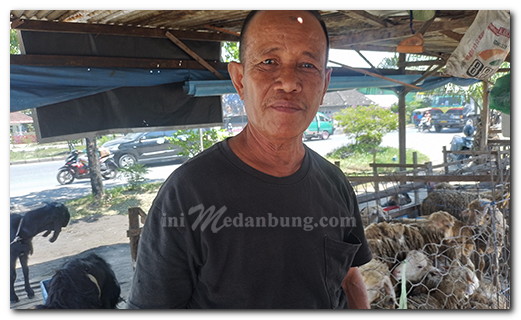 Menjelang Idul Adha 1447 H Pedagang Hewan Kurban Sepi Pembeli di Belawan