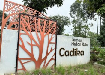 Pelatih Timor Leste Puji Kondisi Lapangan Sepakbola Cadika Medan: Cukup Bagus dan Standar Internasional
