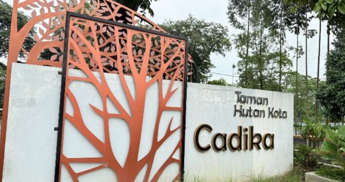 Pelatih Timor Leste Puji Kondisi Lapangan Sepakbola Cadika Medan: Cukup Bagus dan Standar Internasional