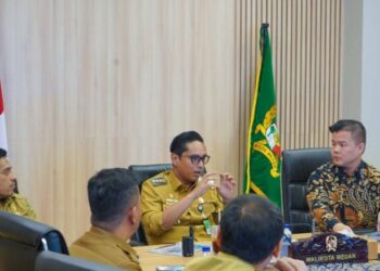 Rico Waas Sambut GoVirtual untuk Pemetaan Sektor Strategis Daerah