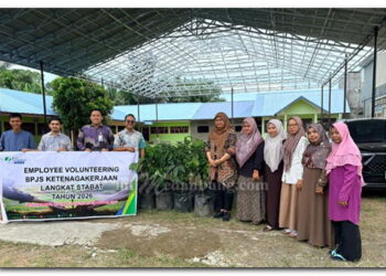 BPJS Ketenagakerjaan Cabang Langkat Gelar Employee Volunteering Go Green “Penanaman Bibit Alpukat Mentega”