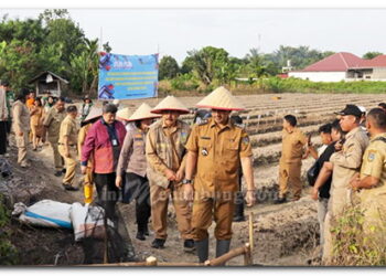 Perkuat Ketahanan Pangan dan Tekan Laju Inflasi, Wali Kota Tebing Tinggi Pimpin Gerakan Tanam Bawang Merah di Kelurahan Mekar Sentosa