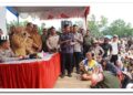 Plt. Bupati Tiorita Kawal Percepatan Bantuan Banjir, Tegaskan Siap Berjuang Bersama Warga Langkat