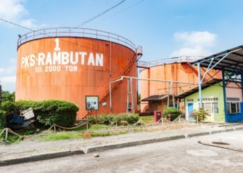 Perkuat Tata Kelola dan Standar Global, PTPN IV Akselerasi Sertifikasi Ratusan Kebun dan PKS di Seluruh Regional