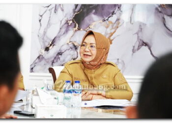 Plt. Bupati Tiorita Dorong PLN Percepat Layanan Listrik Langkat