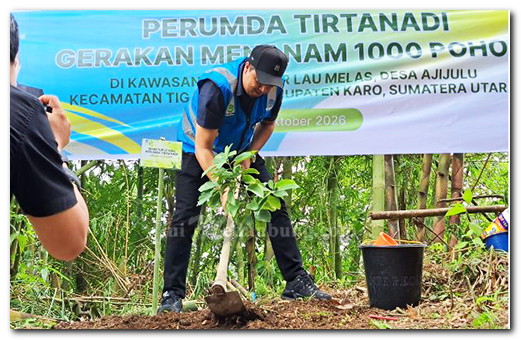 Perumda Tirtanadi Tanam 1.000 Pohon di Sibolangit, Ardian Surbakti : Masih Banyak Aktivitas Penebangan Pohon
