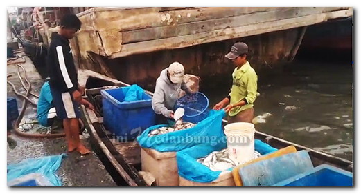 Kabut Asap Belum “Sangat” Mengganggu, Nelayan Belawan Tetap Melaut